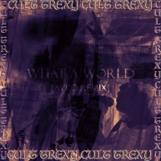 What a World (AVRO Remix Drum & Bass Version)