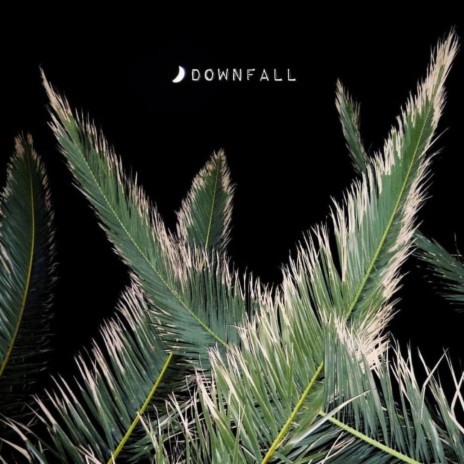 Downfall | Boomplay Music