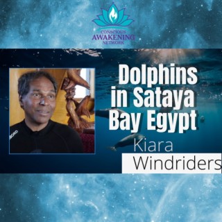 Kiara Windrider Interview Dolphins in Sataya Bay Egypt