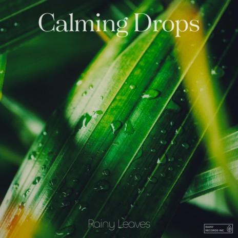 Calming Drops | Boomplay Music