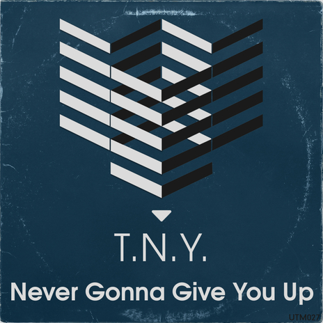 Never Gonna Give You Up | Boomplay Music