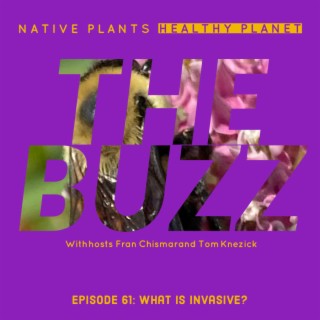 The Buzz - What is Invasive?