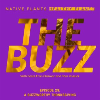 The Buzz - A Buzzworthy Thanksgiving
