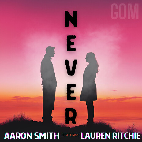 Never Find (Radio Mix) ft. Lauren Ritchie | Boomplay Music