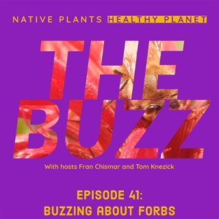 The Buzz - Buzzing about Forbs