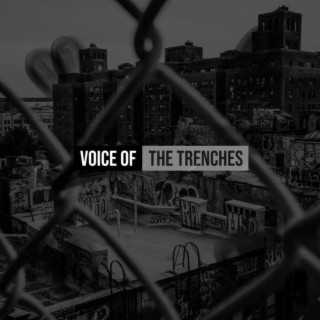 Voice Of The Trenches