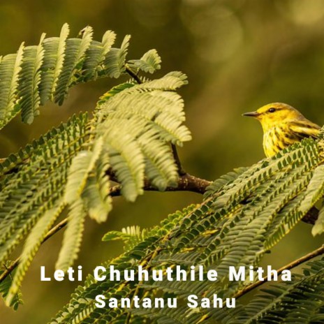 Leti Chuhuthile Mitha | Boomplay Music