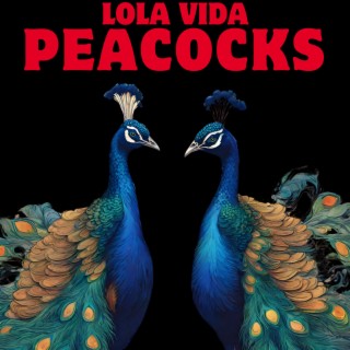 Peacocks