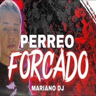 Perreo Forcado volumen 2