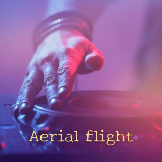 Aerial Flight