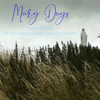 Mary Days: Mary, Seat of Wisdom