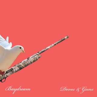 Doves & Guns lyrics | Boomplay Music