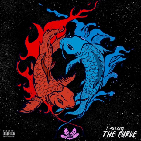 The Curve | Boomplay Music