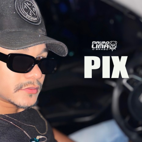 Pix ft. MC PEDRINHO DA CDD | Boomplay Music