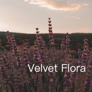Velvet Flora