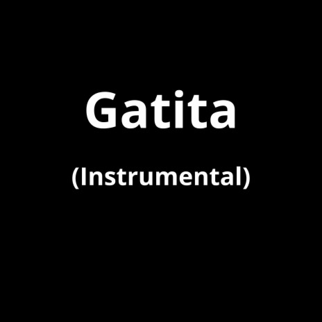 Gatita (Instrumental) | Boomplay Music