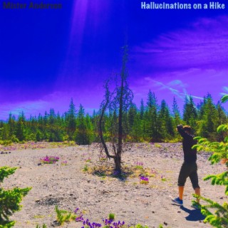 Hallucinations on a Hike
