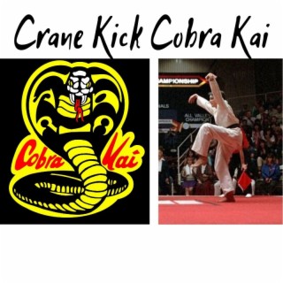 Crane Kick Cobra Kai