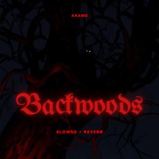 Backwoods lyrics | Boomplay Music