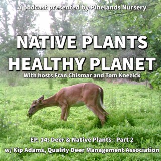 Meet Deer and Native Plants - Part 2