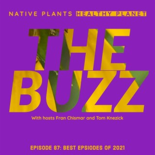 The Buzz -Best Episodes of 2021