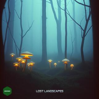 Lost Landscapes