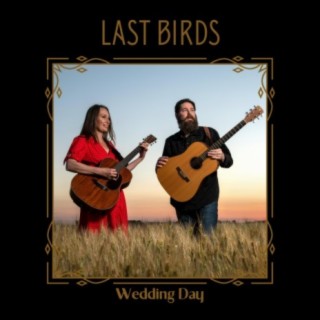 Last Birds