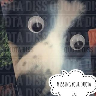 Missing Your Quota