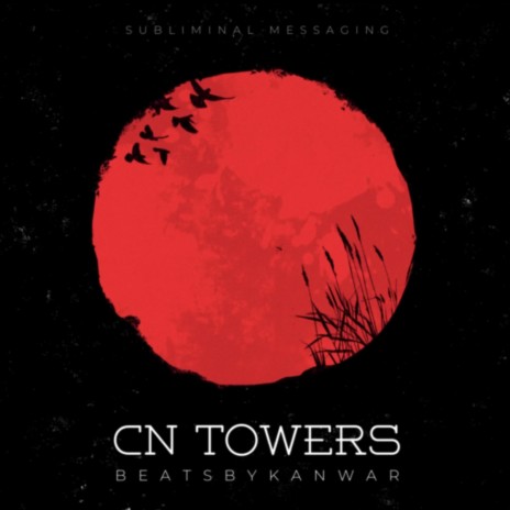 CN Towers