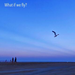 What if we fly?