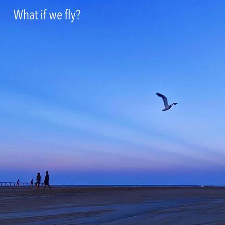 What if we fly? | Boomplay Music