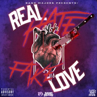 Real Hate Fake Love