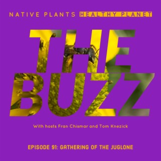 The Buzz - Gathering of the Juglone