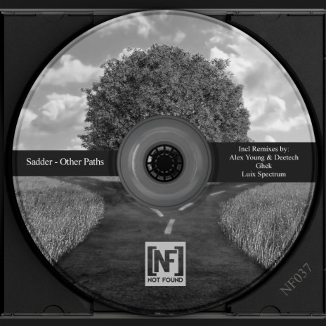 Other Paths (Alex Young & Deetech Remix)