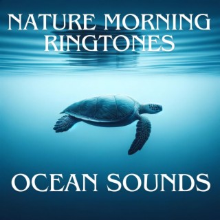 Nature Morning Ringtones: Ocean Sounds