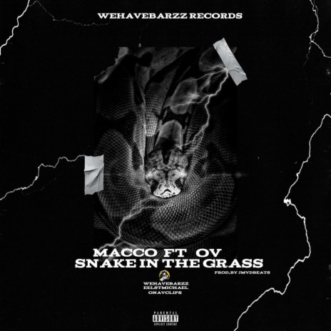 Snake in the grasss ft. Macco 🅴 | Boomplay Music