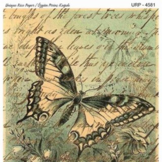 BUTTERFLY 2