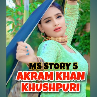 Ms Story 5