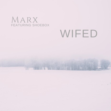 Wifed (feat. Shoebox) | Boomplay Music