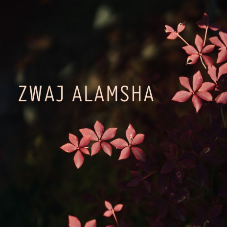 Zwaj Alamsha | Boomplay Music