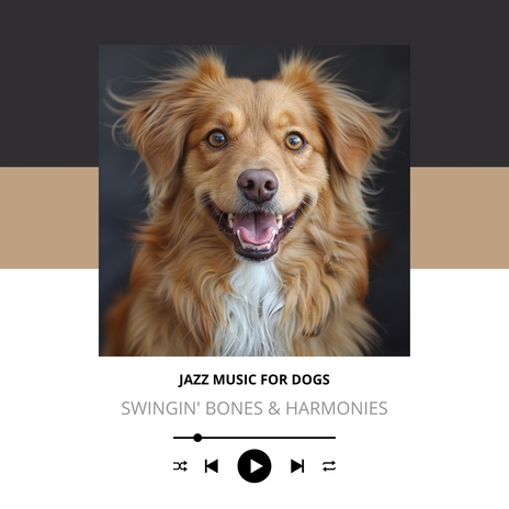 Groovin’ Hound Harmony | Boomplay Music