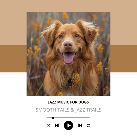 Paw-tapping Rhythm | Boomplay Music