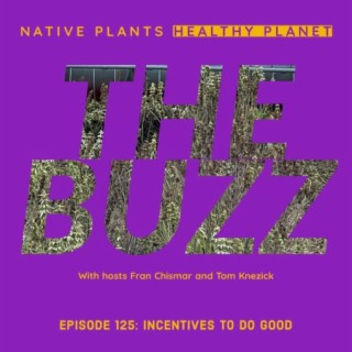 The Buzz - Incentives To Do Good