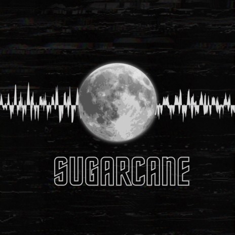 SUGARCANE