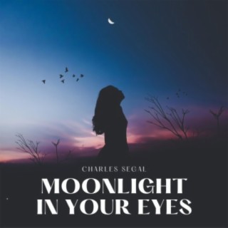 Moonlight in Your Eyes