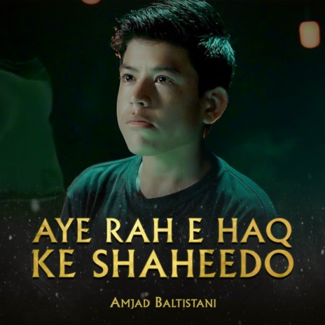 Aye Rah E Haq Ke Shaheedo | Boomplay Music