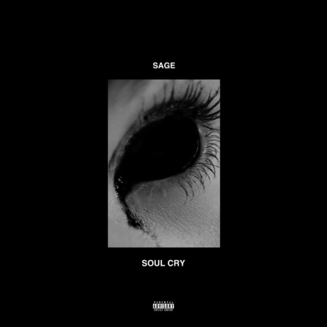 Soul Cry | Boomplay Music