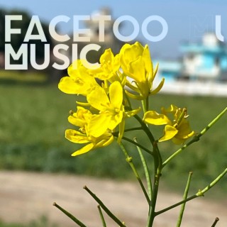 Facetoo Music