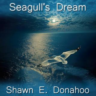 Seagull's Dream