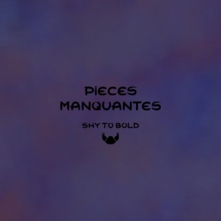 Pièces Manquantes lyrics | Boomplay Music